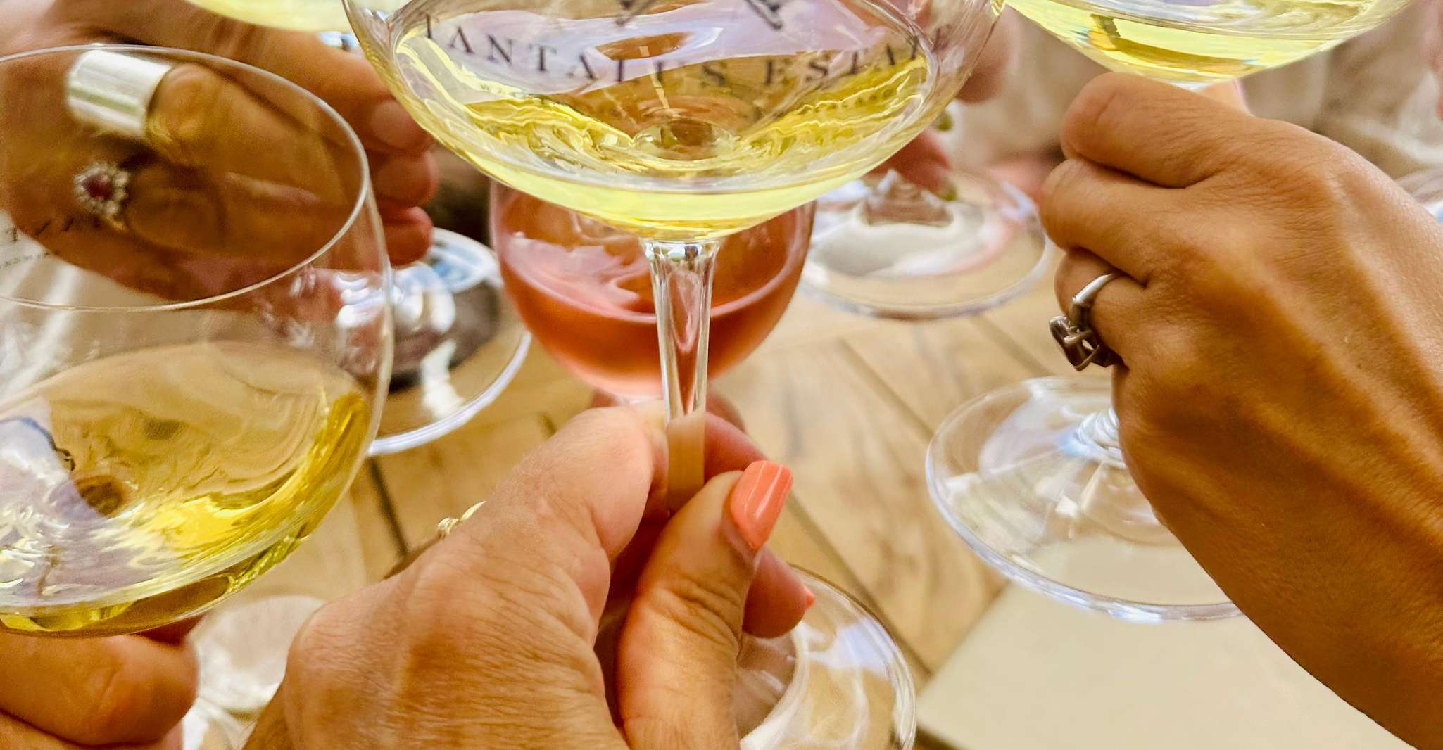 Auckland Waiheke Island Wine Tour in Auckland, New Zealand