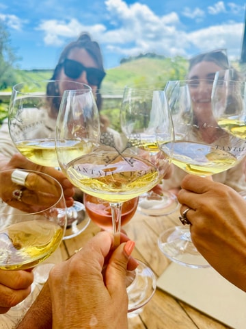 From Auckland: Waiheke Island Wineries' Tour