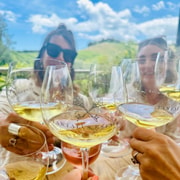 Waiheke Island Wineries Tour