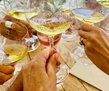 Desde Auckland: Excursión a las Bodegas de la Isla de Waiheke