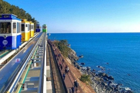 Busan: Private Tour- Yongung Temple, Bamboo Forest, Sky Walk