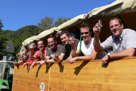 Bernkastel: gita in battello e carrozza da/per Bernkastel-KuesBernkastel: giro in battello e carrozza da/per Bernkastel-Kues