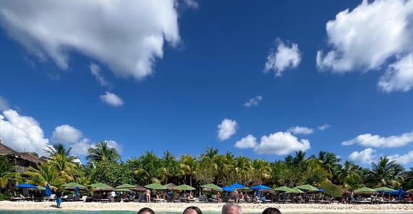 Cozumel: Guided snorkeling tour with turtles, corals, and starfish