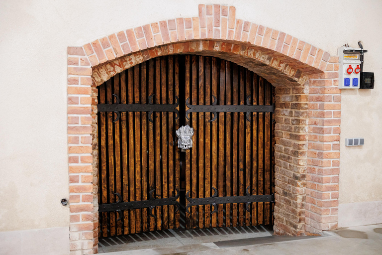 Mołdawia: zwiedzanie winnicy Doina i degustacja