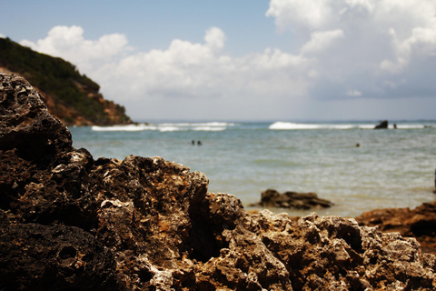 Excursion d&#039;une journée sur l&#039;île de Morro de São PauloParler espagnol