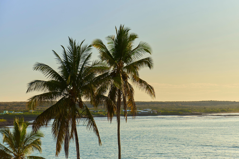 Galapagos: Exclusive 7-Day Tour – Santa Cruz, Isabela, and Santa Fe with Snorkeling Galapagos: Exclusive 7-Day Tour of Santa Cruz, Isabela, and Santa Fe with Snorkeling