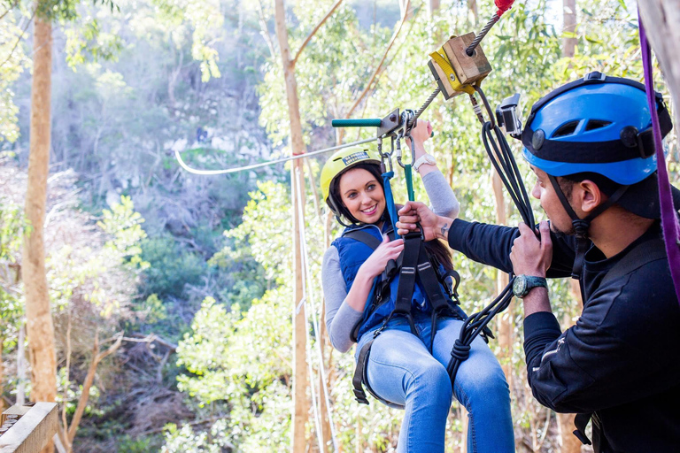 Cape Town: Zipline Adventures (Hotel Pickup &amp; Dropoff incl.)