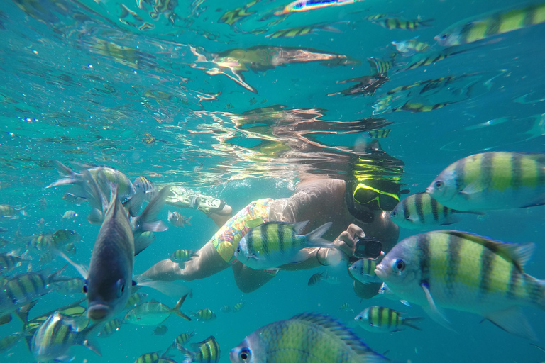 Phuket: Phi Phi Islands Early Bird Speedboat Tour & Buffet