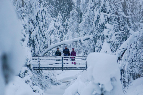 From Rovaniemi: Korouoma Canyon and Frozen Waterfalls Tour