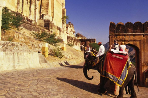 De Jaipur: Tour particular pelo Taj Mahal e Forte de AgraViagem de 1 dia saindo de Jaipur - Carro, motorista e guia que fala inglês