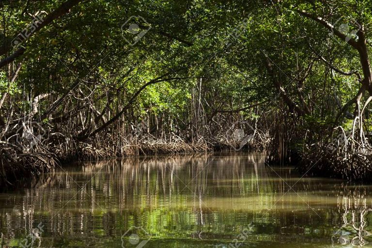 Punta Cana: Los Haitises Park, Horseback Ride & Lunch Tour