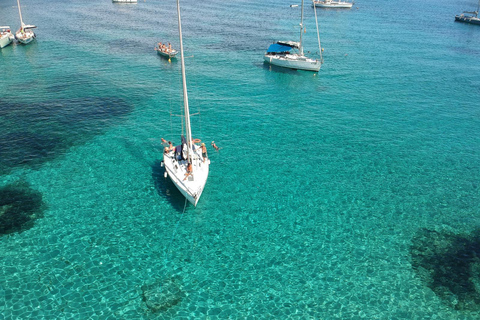From Stintino: Half-Day Sailing Boat Tour to La Pelosa From Stintino: Half-Day Whit Sailing Boat Tour to Asinara