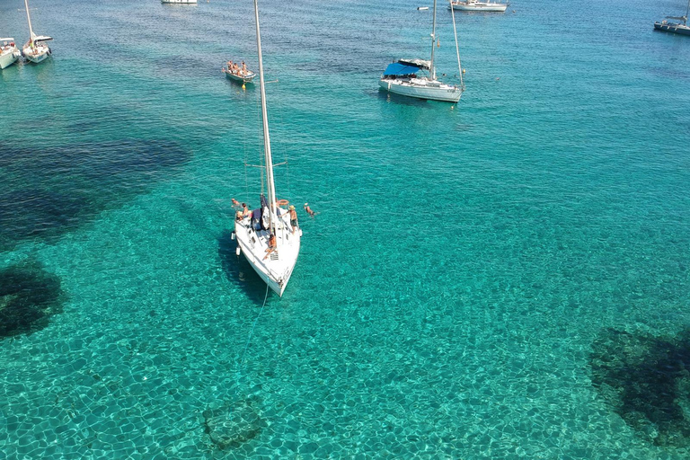 From Stintino: Half-Day Sailing Boat Tour to La Pelosa From Stintino: Half-Day Whit Sailing Boat Tour to Asinara