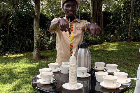 Nairobi: Fairview Coffee Estate Tour & Tasting