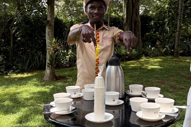 Nairobi: Fairview Coffee Estate Tour & Tasting