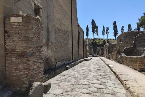 From Sorrento: Half-Day Herculaneum Express by Local Train