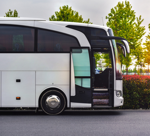 Sightseeing on wheels