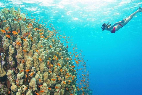 Vanuit Zanzibar Mnemba Eiland-Snorkelen Dagtour met Lunch