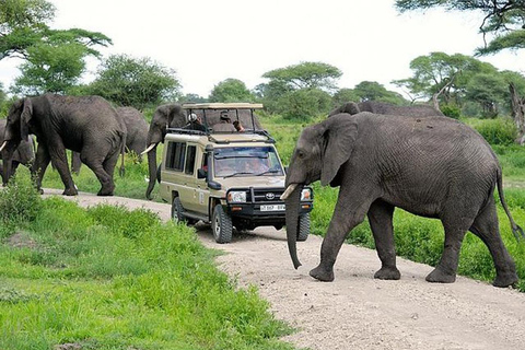 Majestic landscapes: A 5day Safari Adventure
