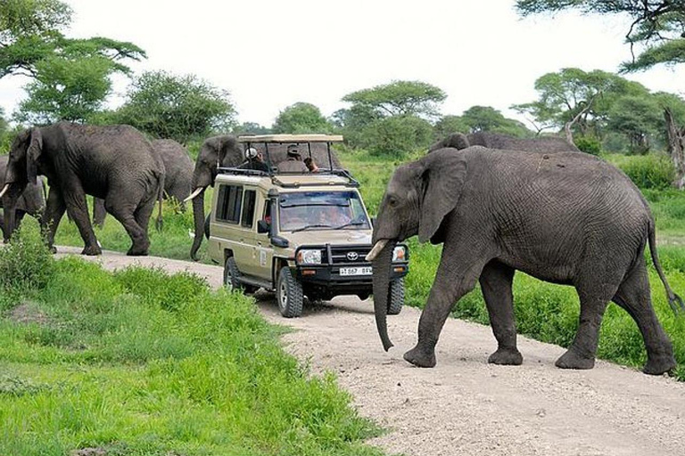 Majestic landscapes: A 5day Safari Adventure