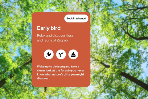 Zagreb: Science Tours - Early Bird