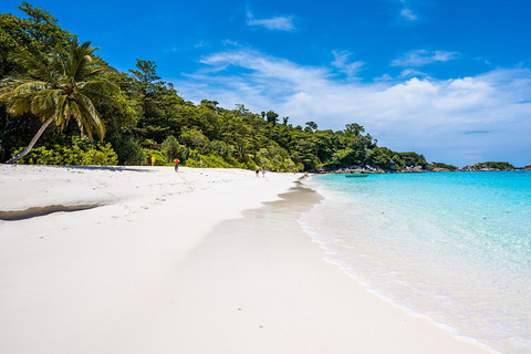 Phuket: Escursione di un giorno alle isole Similan in barca, catamarano di lusso