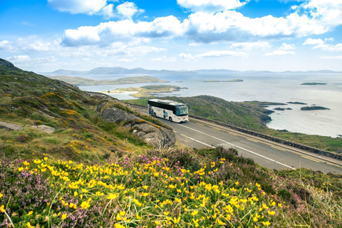 Killarney: Ring of Kerry Bus Tour