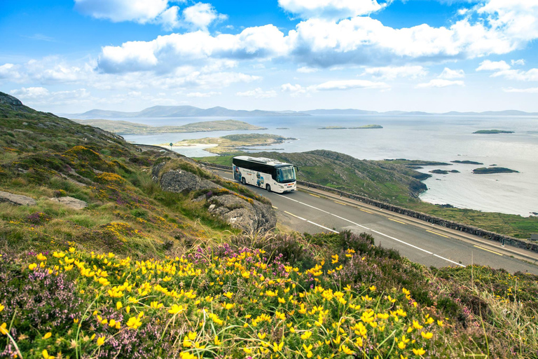 Killarney: Ring of Kerry Bus Tour