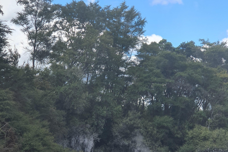 Wycieczki Rotorua i Taupo:, odwiedź naturalne gorące źródła i gejzeryWycieczki Rotorua i Taupo Parki gejzerów, jaskinie Waitomo, Hobbiton