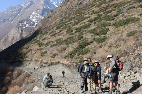Tsum Valley Trek: A Journey into the Hidden Valley of Nepal