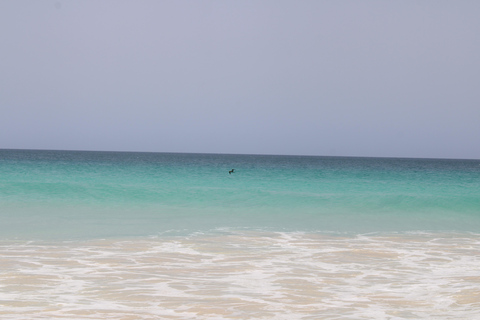 Boa Vista: The Full-Day around Boa Vista tour with Lunch