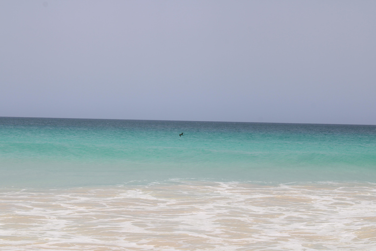 Boa Vista: The Full-Day around Boa Vista tour with Lunch