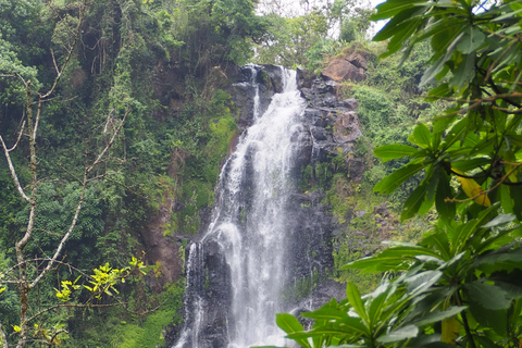 Waterfalls and Coffee tour Bike tour