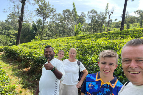 Kandy: Ambuluwawa Tower, Ramboda Falls & Tea Factory Tour