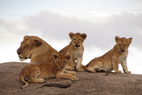 Arusha: 3-Day Serengeti & Ngorongoro Wondaful Safari 3-Day Serengeti & Ngorongoro with Balloon Experience