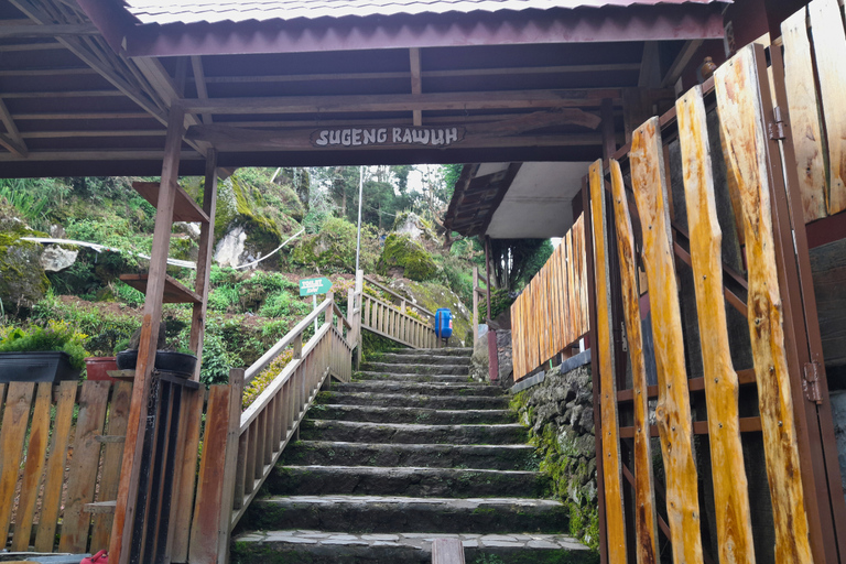 Yogyakarta: Menjer Lake Bamboo Boat Tour with Lunch