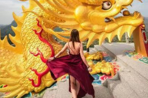 高雄/台南出发：台南一日游10小时旅程 {八座商务轿车}