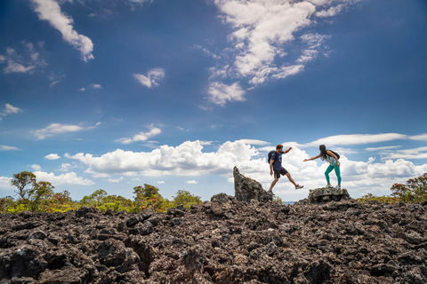 Auckland | Rangitoto Island Guided Hike with Ferry Ride Auckland: Rangitoto Island Guided Hike with Ferry Ride