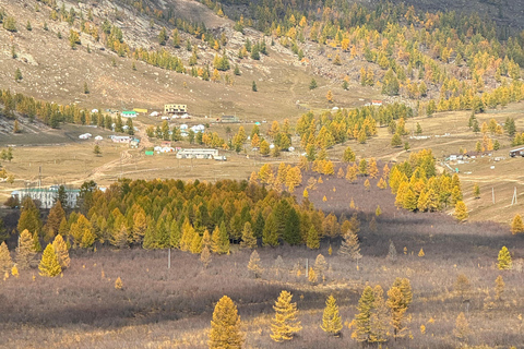 Excursión de un día a la Estatua de Chinggis Khaan y al Parque Nacional de Terelj