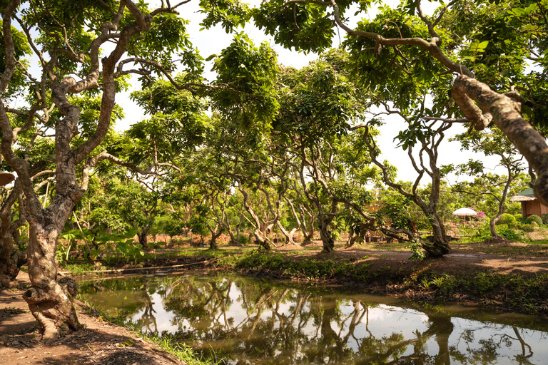 Mekong Adventure: 3 Days from Delta optional to PhnomPenh OPTIONAL: EXIT TO PHNOM PENH