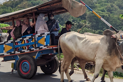Yogyakarta: Javanese Village Life and Rice Farming Tour