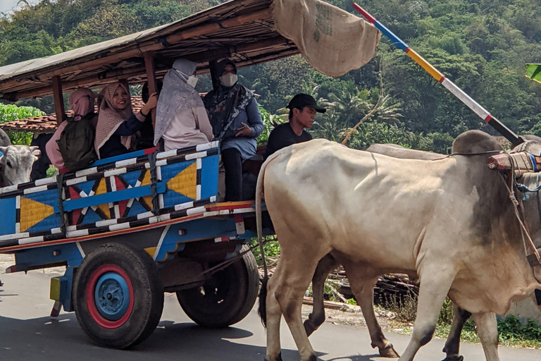 Yogyakarta: Javanese Village Life and Rice Farming Tour
