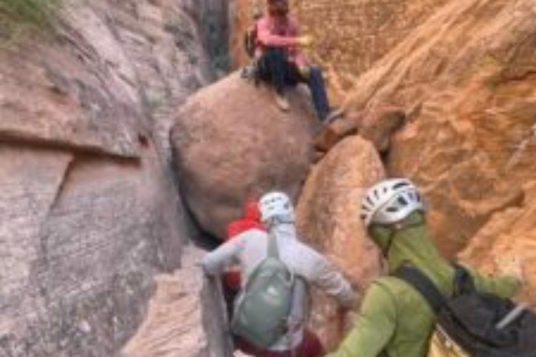 Moab: Fins and Things Canyoneering Adventure tour
