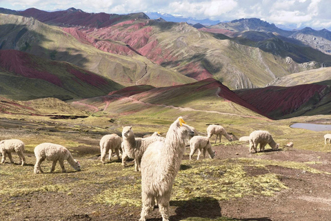 Cusco - Palcoyo Mountain Hike Full Day (Tickets Included)