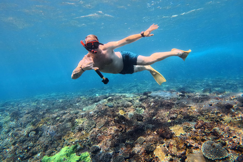 Nusa Penida: Manta Point & Turtle Point Snorkeling Sharing Manta Point Trip with Gamat Bay & Turtle Point
