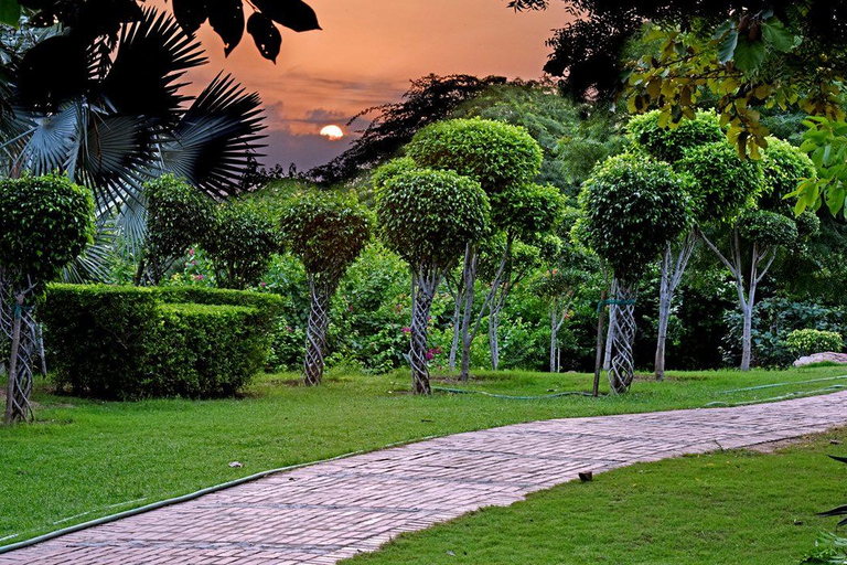 德里：五感花园导览游（含接送服务）