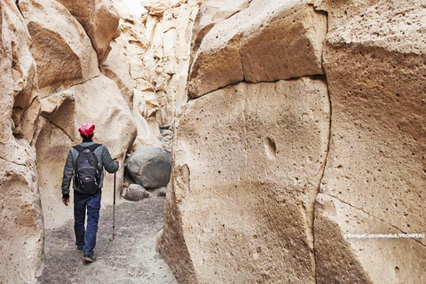 Excursão de 4 horas: Rota de Sillar com caminhada em Culebrillas