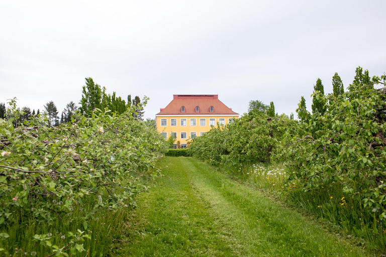 Helsinki: Private Visit to Finnish Berry Winery with Tasting