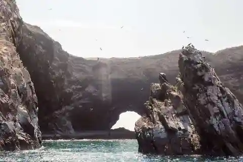 Excursión: Islas Ballestas y Reserva Nacional de Paracas