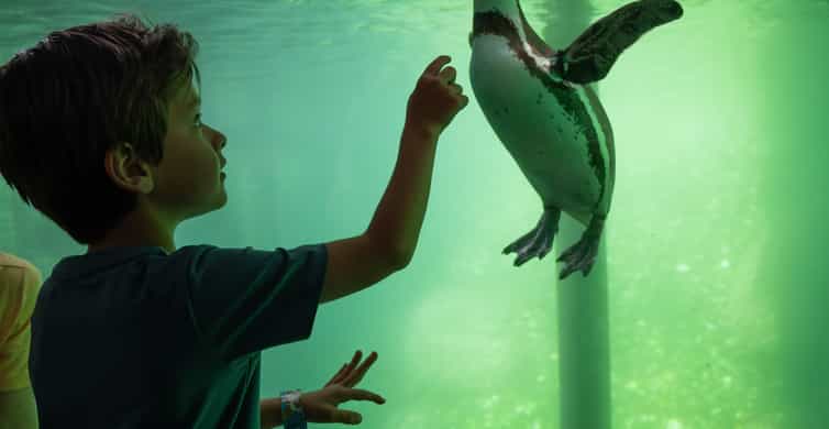 Emmen: Wildlands Adventure Zoo and Rimbula River Boat Ride photo 8